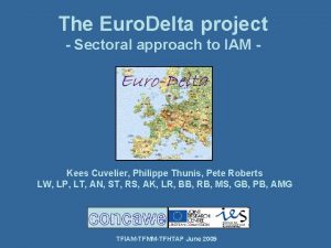 The Euro Delta project Sectoral approach to IAM