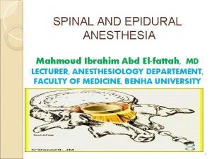 SPINAL AND EPIDURAL ANESTHESIA Mahmoud Ibrahim Abd Elfattah