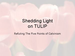 Shedding Light on TULIP Refuting The Five Points