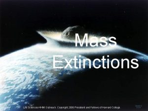 Mass Extinctions Life SciencesHHMI Outreach Copyright 2006 President