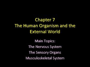 Chapter 7 The Human Organism and the External