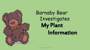 Barnaby Bear Investigates My Plant Information Geographical Association