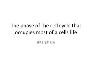 The phase of the cell cycle that occupies