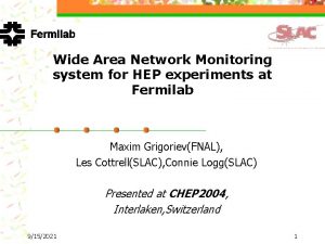 Wide Area Network Monitoring system for HEP experiments