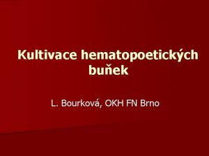 Kultivace hematopoetickch buek L Bourkov OKH FN Brno