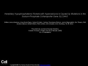 Hereditary Hypophosphatemic Rickets with Hypercalciuria Is Caused by