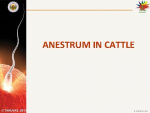 ANESTRUM IN CATTLE TANUVAS 2011 ANESTRUS FAILURE OF