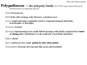 Ferns and Gymnosperms Polypodiaceae the polypody family 40