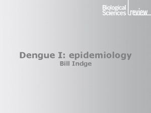 Dengue I epidemiology Bill Indge Dengue The cycle