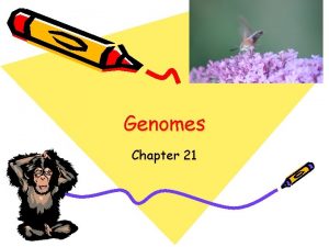 Genomes Chapter 21 Genomes Sequencing of DNA Human