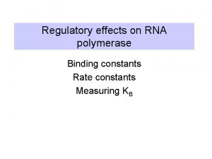 Regulatory effects on RNA polymerase Binding constants Rate