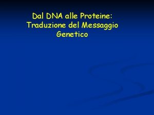 Dal DNA alle Proteine Traduzione del Messaggio Genetico