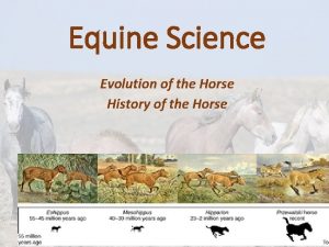 Equine Science Evolution of the Horse History of