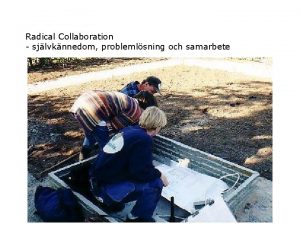 Radical Collaboration sjlvknnedom problemlsning och samarbete 00 00