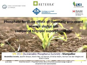 Phosphate fertilizer effect of thermally processed sewage sludge