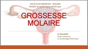 FACULTE DE MEDECINE ANNABA Module de gyncologieobsttrique GROSSESSE