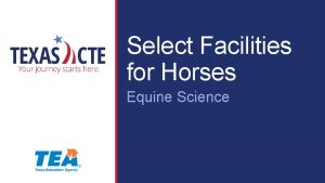 Select Facilities for Horses Equine Science Copyright Texas