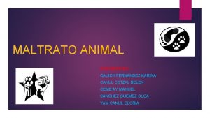 MALTRATO ANIMAL INTEGRANTES CAUICH FERNANDEZ KARINA CANUL CETZAL