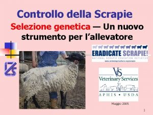 Controllo della Scrapie Selezione genetica Un nuovo strumento