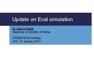 Update on Ecal simulation Dr Mauro Raggi Sapienza