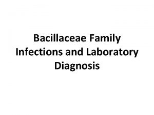Bacillaceae Family Infections and Laboratory Diagnosis Bacillaceae family