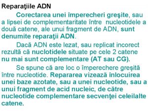 Reparaiile ADN Corectarea unei mperecheri greite sau a