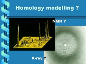 Homology modelling NMR Xray Homology Modelling Helices are