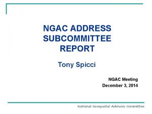 NGAC ADDRESS SUBCOMMITTEE REPORT Tony Spicci NGAC Meeting