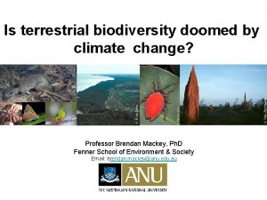 Is terrestrial biodiversity doomed by climate change Professor