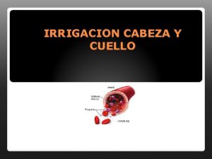 IRRIGACION CABEZA Y CUELLO ARTERIAS CAROTIDAS carotida comun