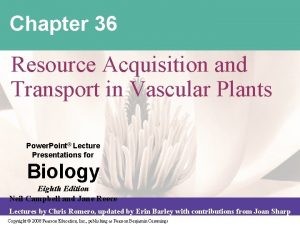 Chapter 36 Resource Acquisition and Transport in Vascular