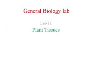 General Biology lab Lab 11 Plant Tissues Tissues