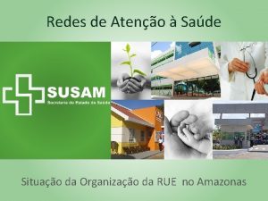 Redes de Ateno Sade Situao da Organizao da