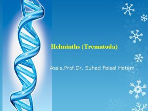 Helminths Trematoda Assis Prof Dr Suhad Faisal Hatem
