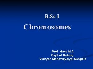 B Sc I Chromosomes Prof Hake M A