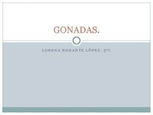 GONADAS LORENA RODARTE LPEZ 5C Qu son las