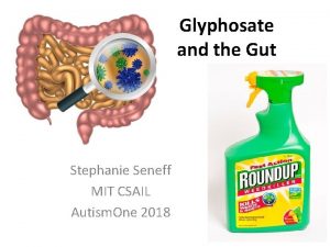 Glyphosate and the Gut Stephanie Seneff MIT CSAIL