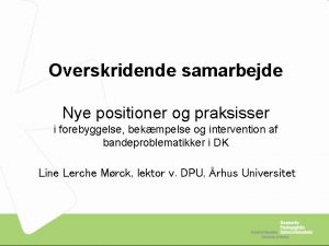 Overskridende samarbejde Nye positioner og praksisser i forebyggelse