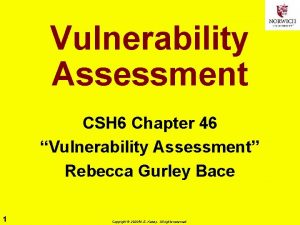 Vulnerability Assessment CSH 6 Chapter 46 Vulnerability Assessment