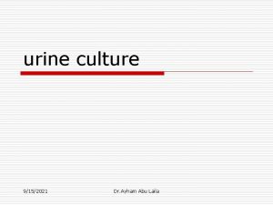 urine culture 9152021 Dr Ayham Abu Laila Pathophysiology