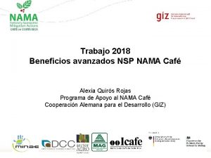 Trabajo 2018 Beneficios avanzados NSP NAMA Caf Alexia