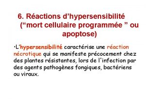 6 Ractions dhypersensibilit mort cellulaire programme ou apoptose