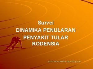 Survei DINAMIKA PENULARAN PENYAKIT TULAR RODENSIA RISTIYANTOBPVRP SALATIGA