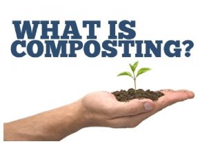 COMPOST COMPOST v Compost is organic matter that