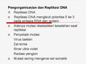 Pengorganisasian dan Replikasi DNA A Replikasi DNA o
