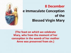 8 December Feast of the Immaculate Conception of