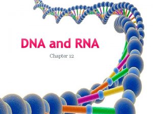 DNA and RNA Chapter 12 Frederick Griffith 1928