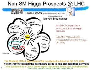 Non SM Higgs Prospects LHC Eilam Gross Weizmann