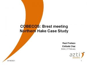 COBECOS Brest meeting Northern Hake Case Study Ral