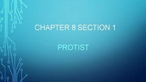 CHAPTER 8 SECTION 1 PROTIST PROTIST KINGDOM AS